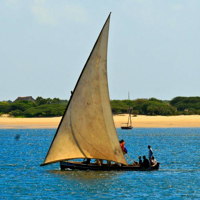 Dhow Cruise Stejos Tours