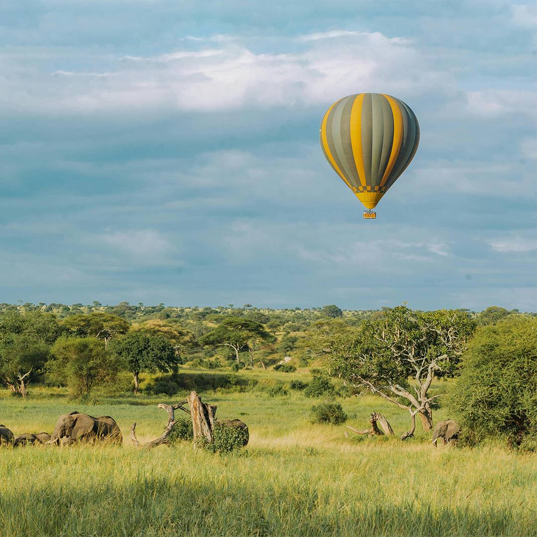 Hot Air Balloon Travel