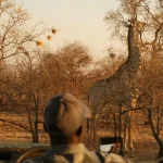 3 Days 2 Nights Tsavo Private Safari Package