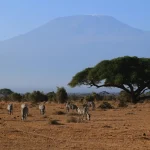 3 Days 2 Nights Amboseli National Park Private Safari Package