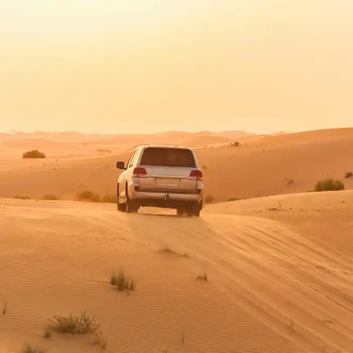 Desert Safari in Dubai