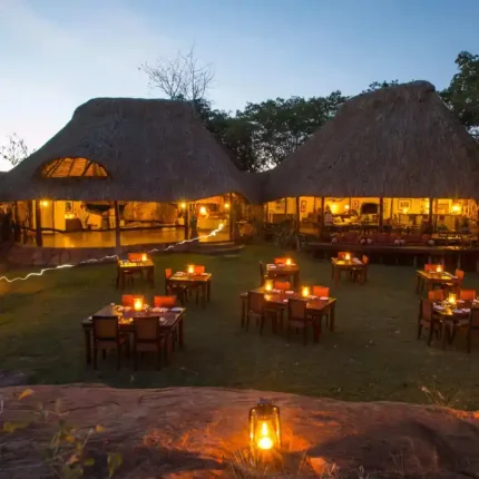 4 Days 3 Nights Elsa Kopje Private Safari