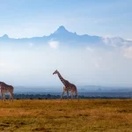 5 Days 4 Nights Nanyuki & Meru Ground Package