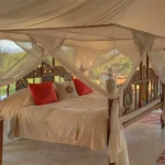 Sasaab Lodge Safari Package by Stejos Tours and Travel