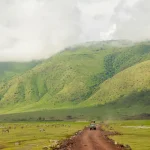 Stejos-Tours-and-Travel-6-Days-5-Nights-Serengeti-Lake-Manyara-Ngorongoro-package